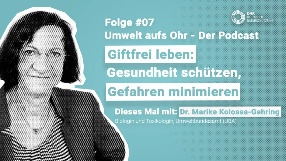 Sharepic zur Podcast-Folge 7: Giftfrei leben: Gesundheit schützen, Gefahren minimieren